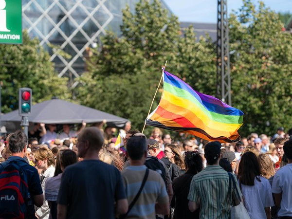 Escapades uniques en camargue : séjour insolite garantie