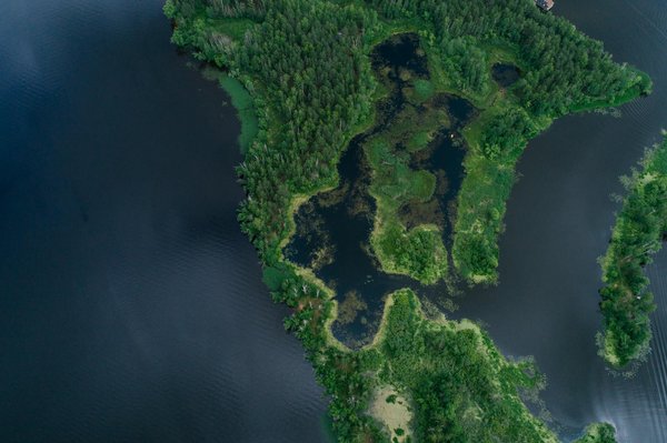 Meilleurs produits pour dégriser et entretenir votre bois extérieur