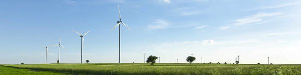 Les méthodes alternatives d'apprentissage : des alternatives aux cours particuliers pour les lycéens