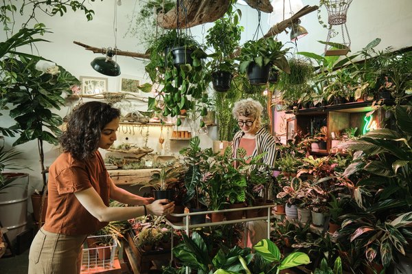 Techniques de jardinage urbain pour espaces réduits