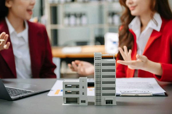 Diagnostic termites à Brest : comment ça marche ?